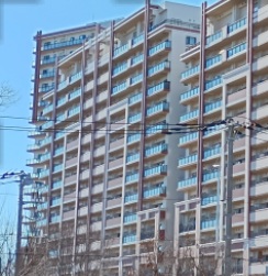 ザ・フォレストレジデンスパークリーフ